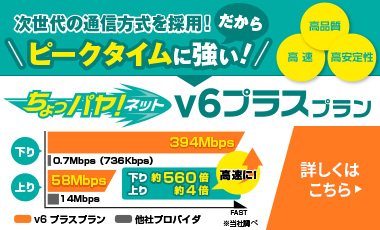 ピークタイムに強い！ちょっパヤネットｖ6プラスプラン